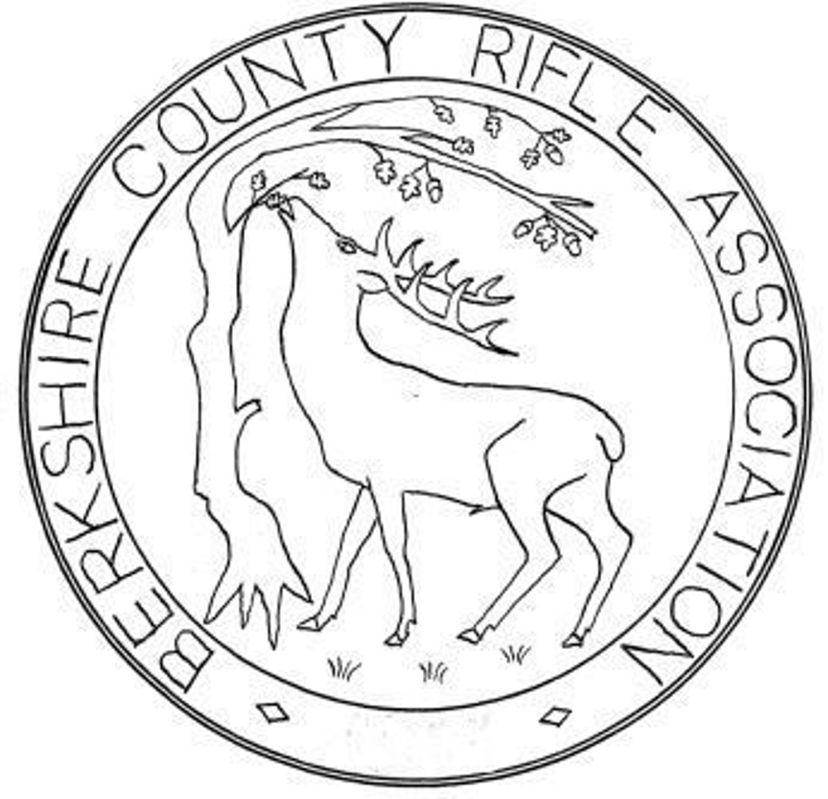 Picture of Berkshire County Rifle Association Open Prize Meeting